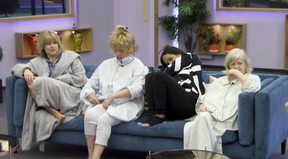 Rachel Johnson, Amanda Barrie, Malika Haqq, and Ann Widdecombe on Celebrity Big Brother.