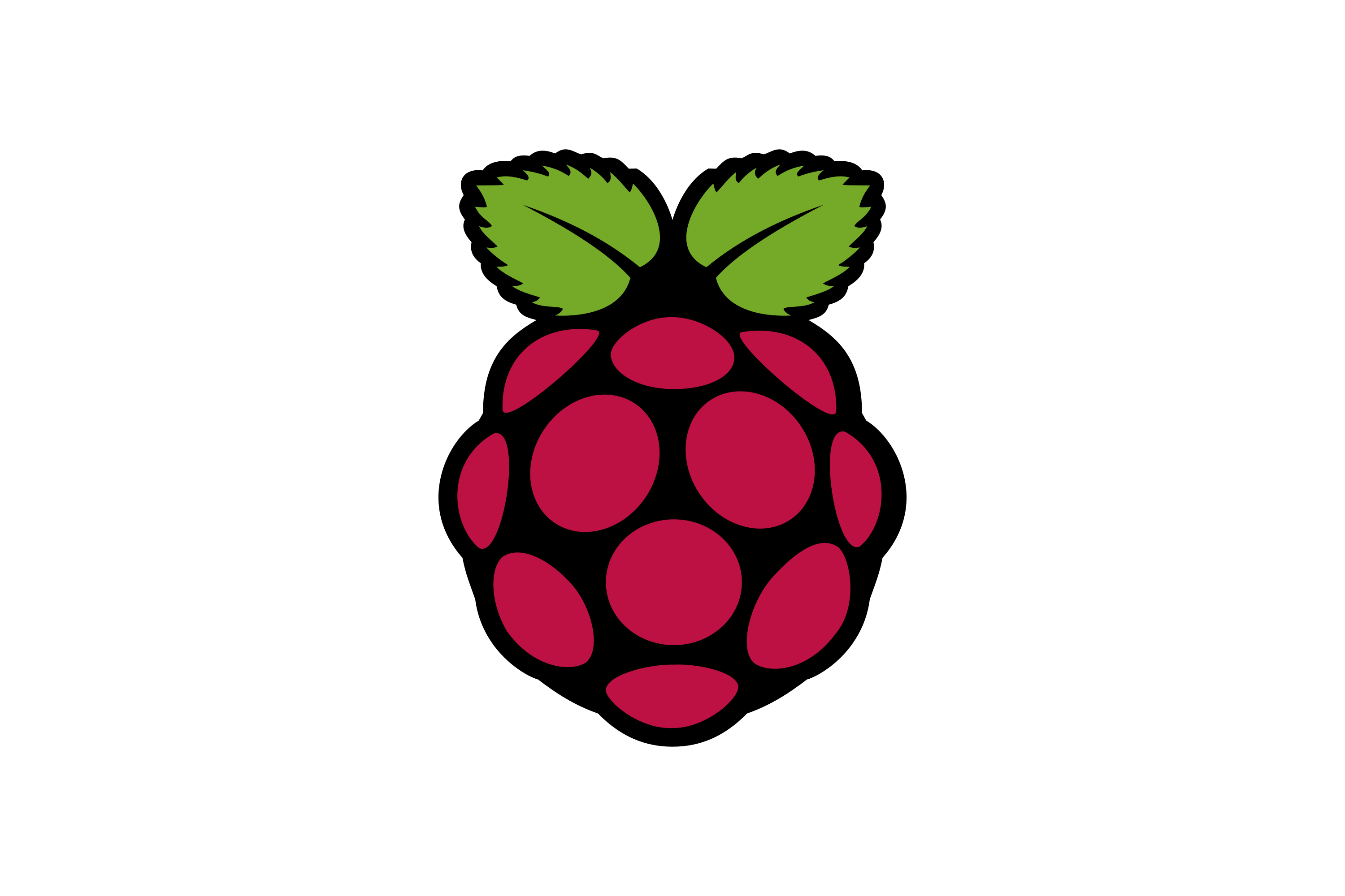Raspberry Pi Logo.Wine