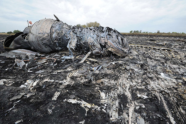 The wreckage of the downed jet 
