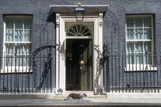 Larry the cat strolls through Downing Street on election day 