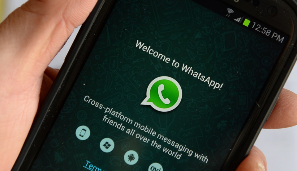 whatsapp