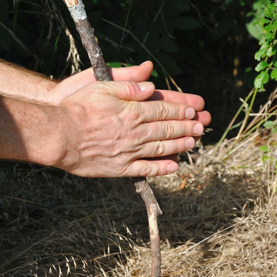 Some Brits could be addicted to cigs due to Neanderthal DNA 