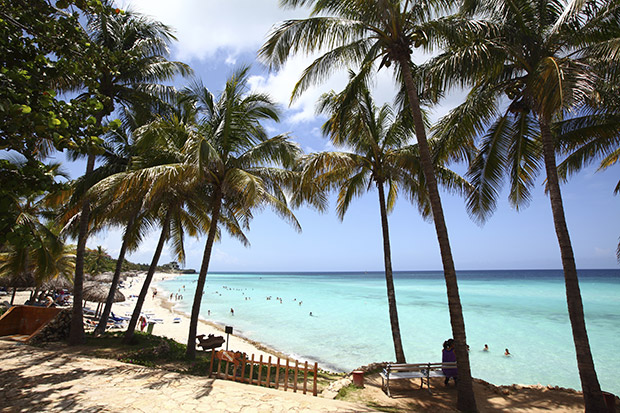 Picturesque image of Cuban beach (in Varadero) with turquoise water and palm trees. See more of Cuban images in my profile.