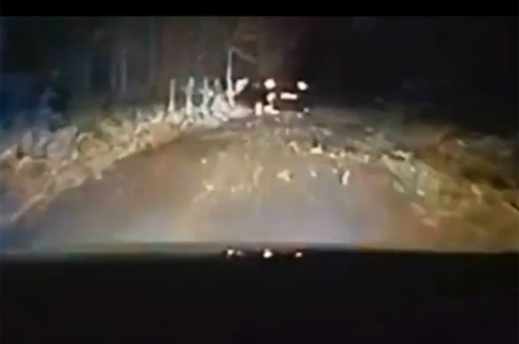 The car swerves in front of the police car before hitting a bank and going into the water following the chase down residential roads