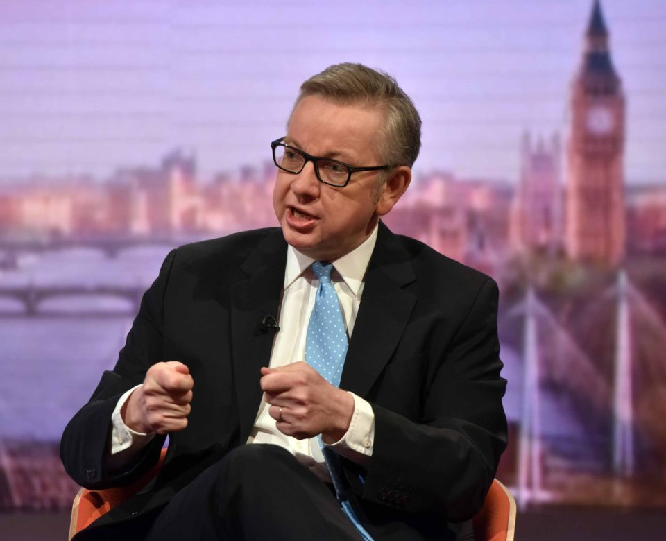 Michael Gove also claims Brits will be forced to pay higher taxes if we remain in the EU