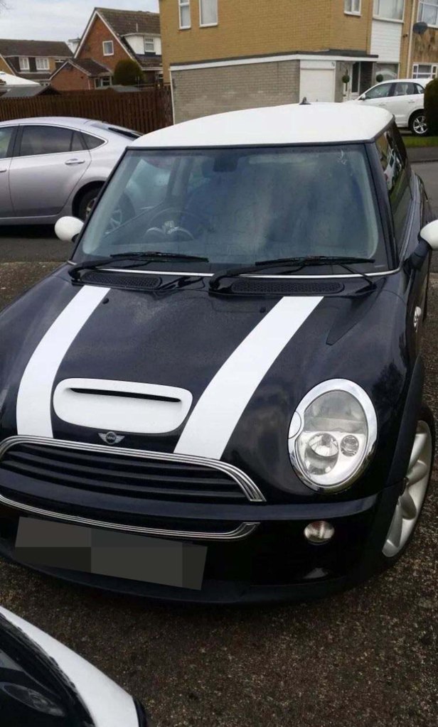MUM LISTS 'DEVIL CAR' ON EBAY