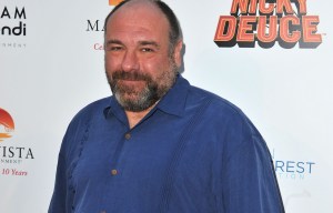 Sopranos star James Gandolfini's £2,000 Rolex 'stolen by a PARAMEDIC as he died from heart attack