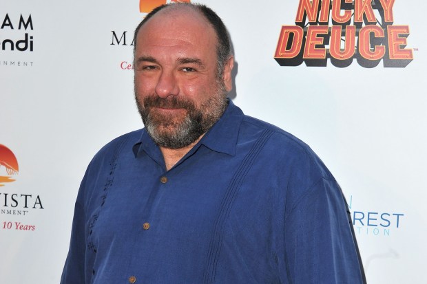 An Italian paramedic is to go on trial in Rome after being accused of snatching a £2,000 Rolex belonging to James Gandolfini