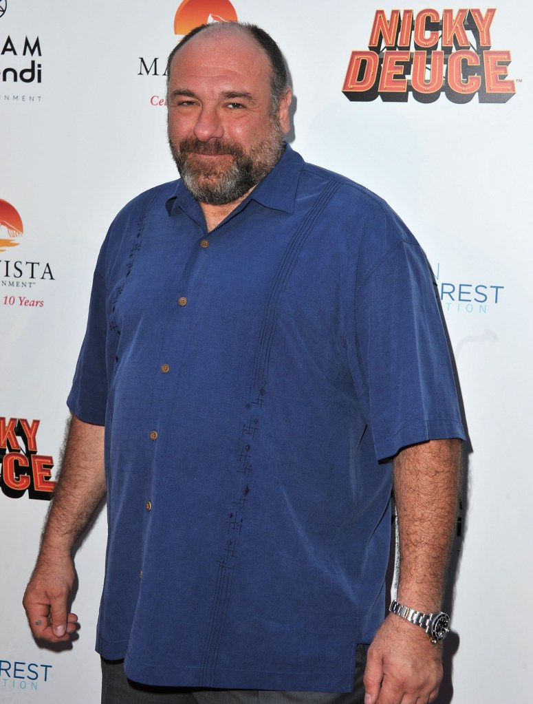 An Italian paramedic is to go on trial in Rome after being accused of snatching a £2,000 Rolex belonging to James Gandolfini