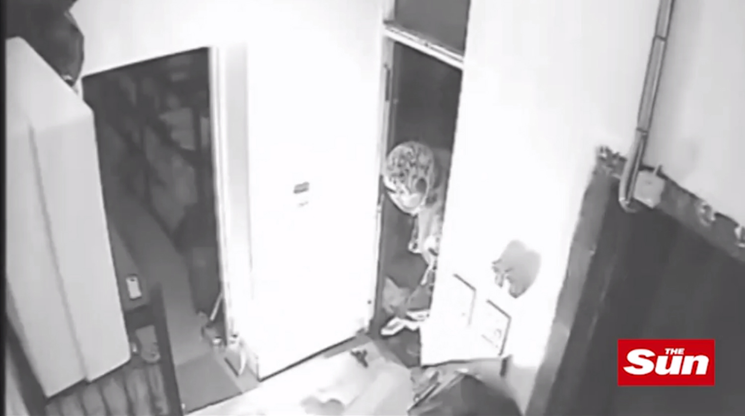 They stoop to drop a light sparking a huge blaze. The attacker had covered up the fire alarms to prevent it being detected