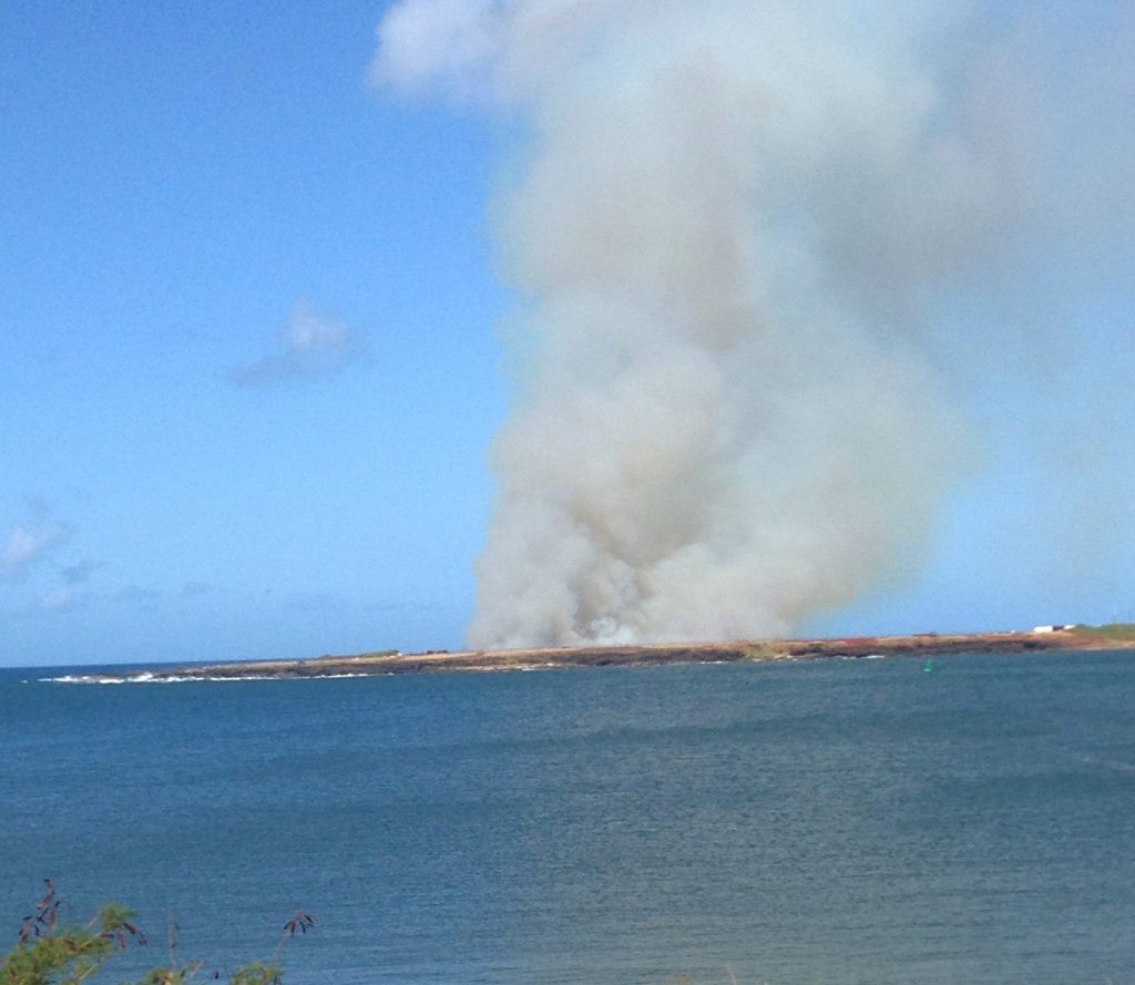 Flume of smoke from the skydive crash