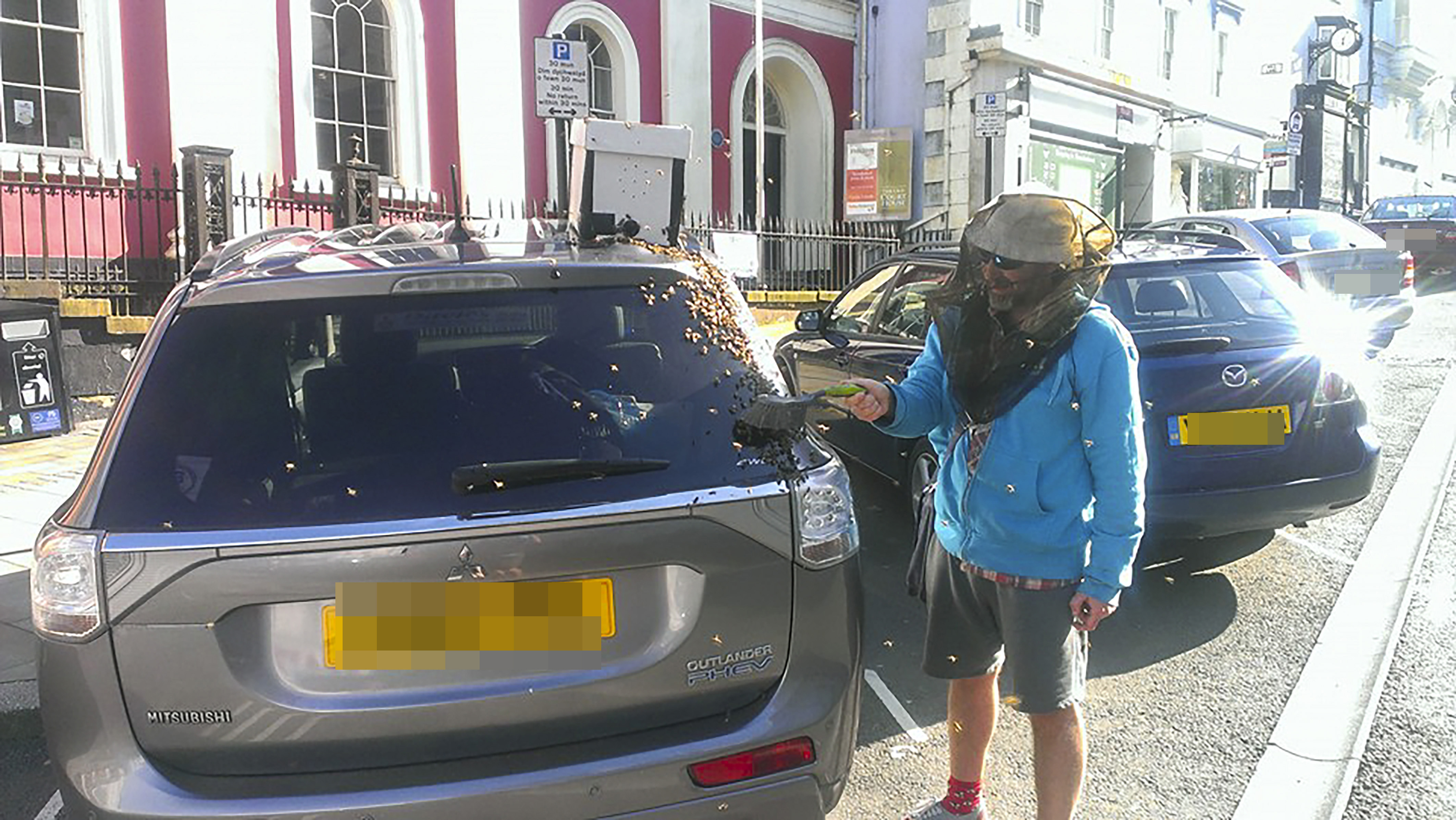bees swarm car