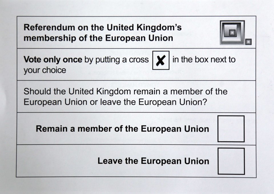EU leaflet