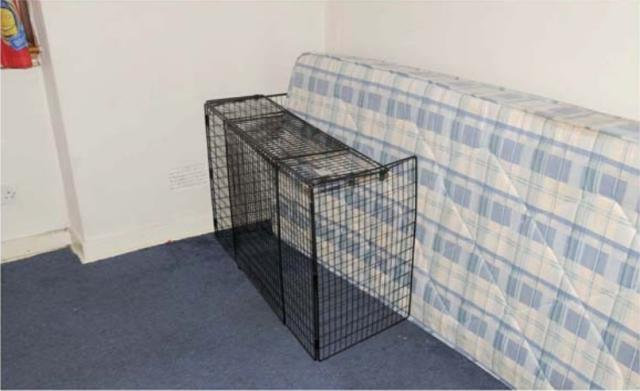 This is the cage youngsters were tied to inside the home of his mum Rachel Trelfa and her partner Nyomi Fee