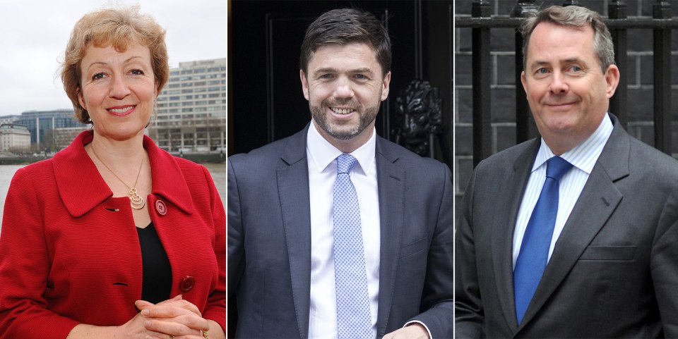 Andrea Leadsom, Stephen Crabb and Liam Fox - Composite