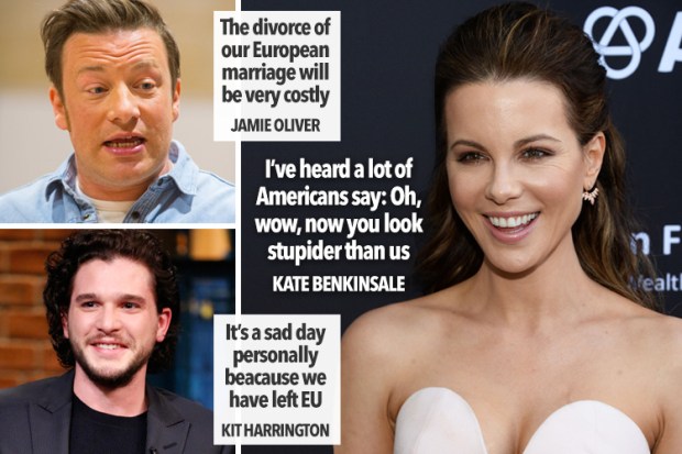 composite celebs on brexit
