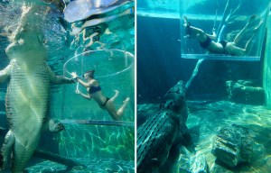 'His eyes stared right at me’: Young woman swims just inches from DEADLY 17ft crocodile