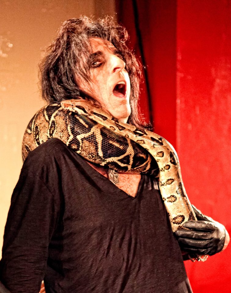 Alice Cooper snake