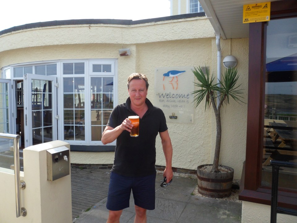 David Cameron pint
