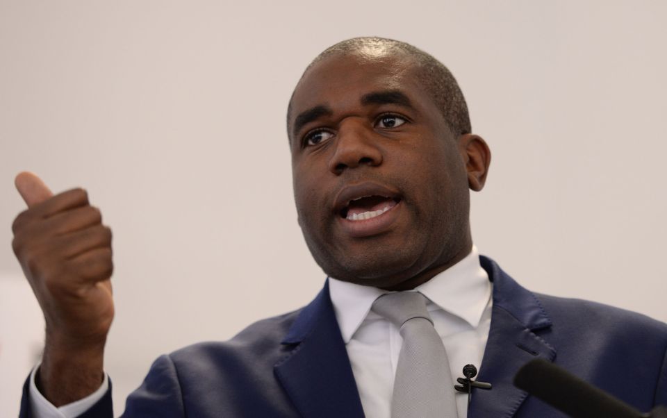 David Lammy EU