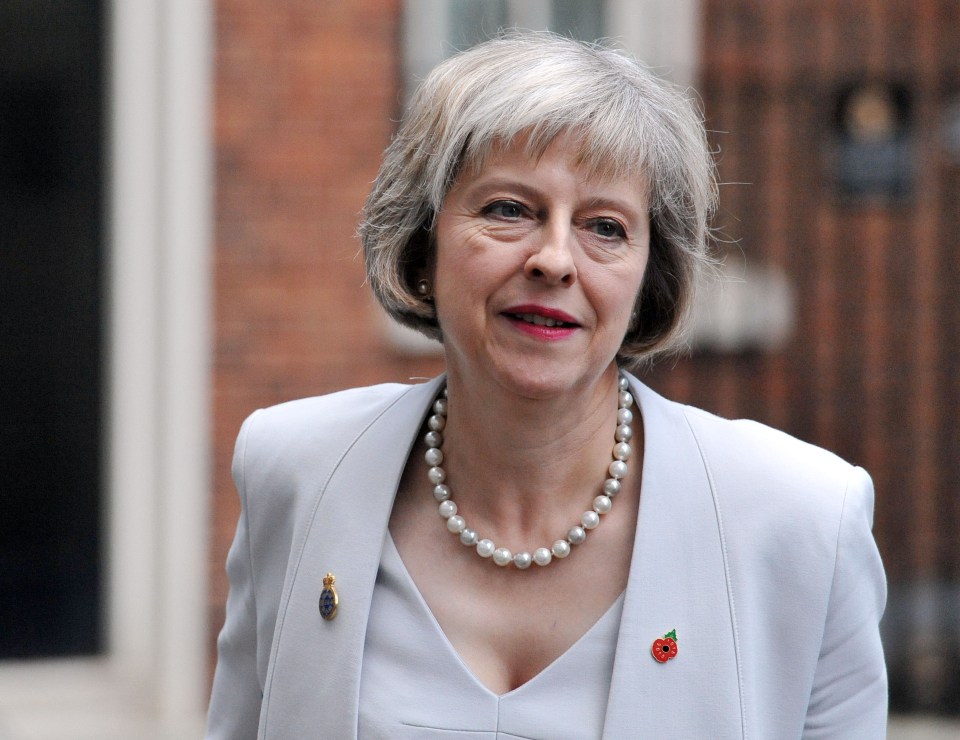 Likely contender . . . Theresa May