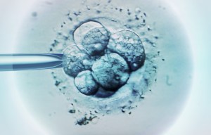 Woman wins court battle to use her dead daughter's frozen eggs to give birth to her own grandchild