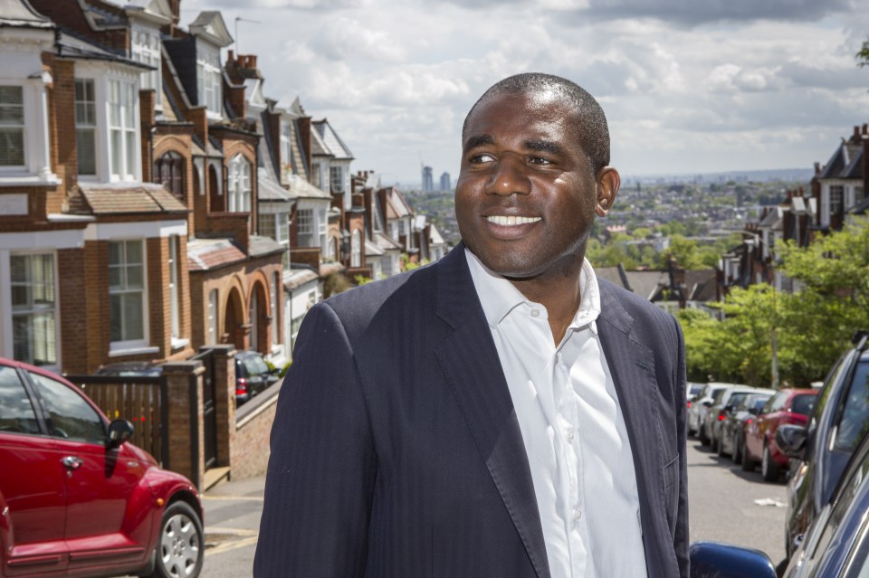 David Lammy EU