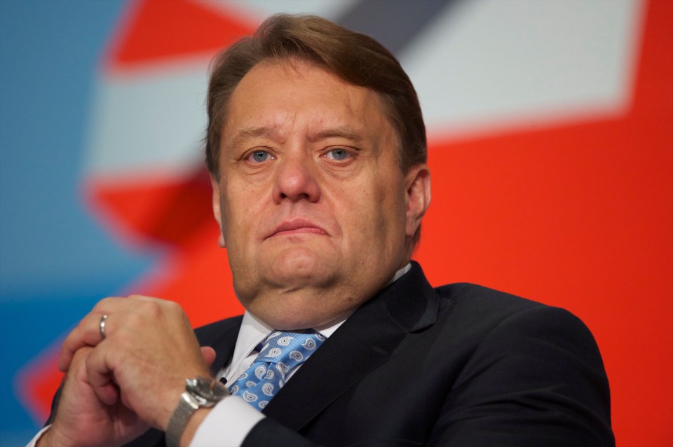 John Hayes EU referendum