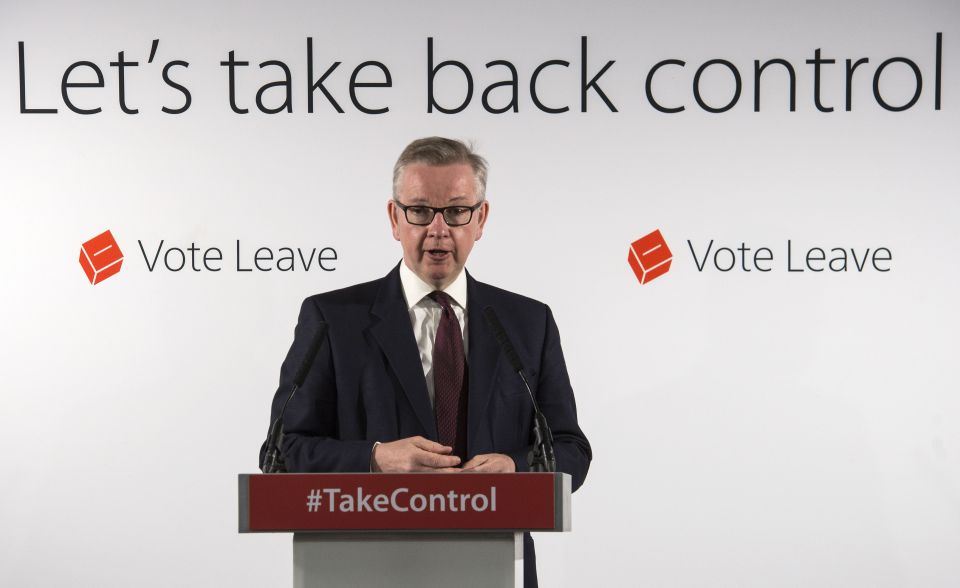 Prominent Brexit campaigner Michael Gove has slammed Farage's comments about sex attacks happening here if Out campaigners lose the EU referendum