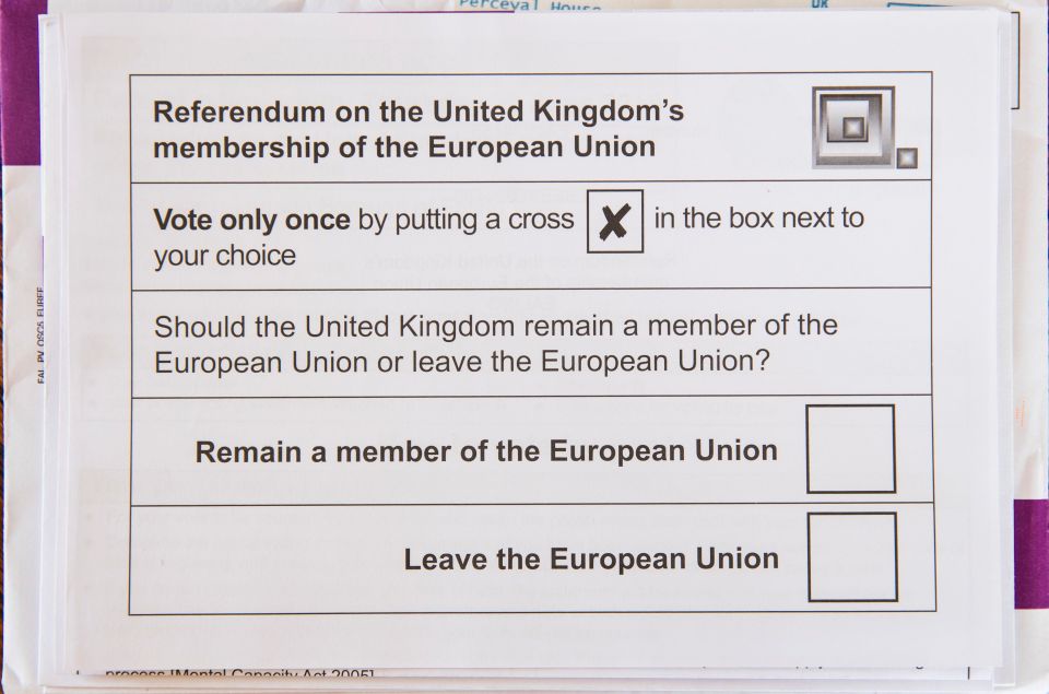 EU referendum