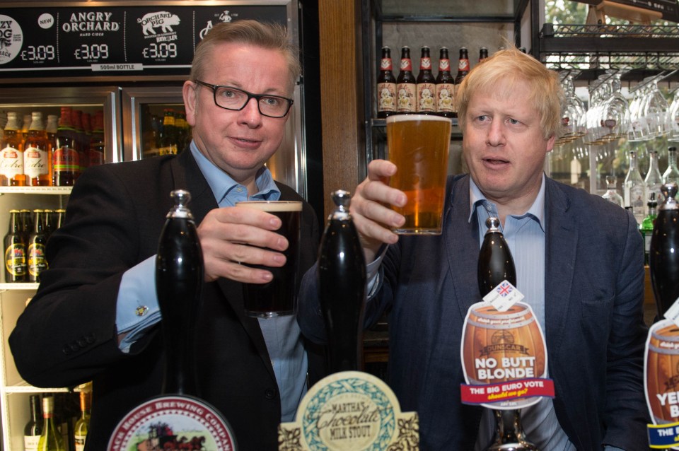 Boris and Gove