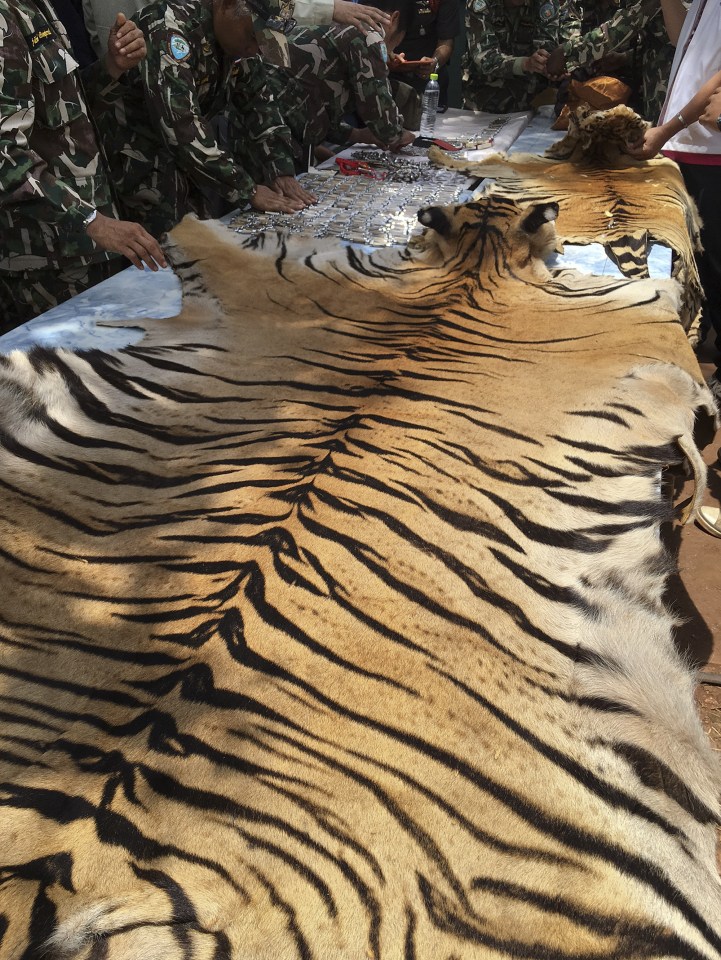 Tiger Temple Thailand