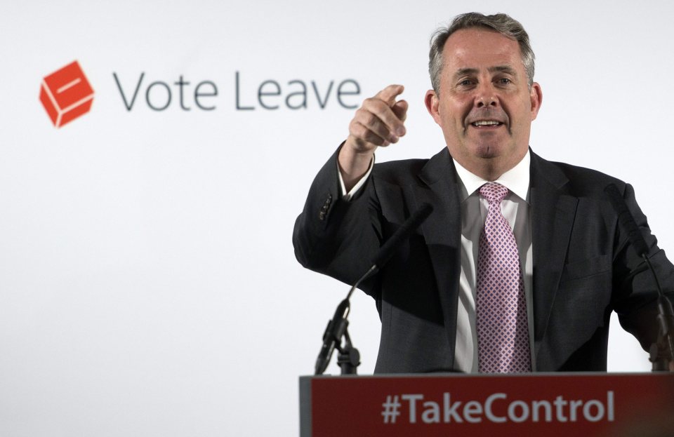Former Defence Secretary Liam Fox