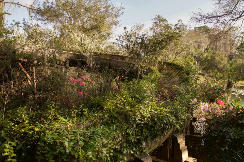 A slide lies underneath a thick covering of plants after years of neglect