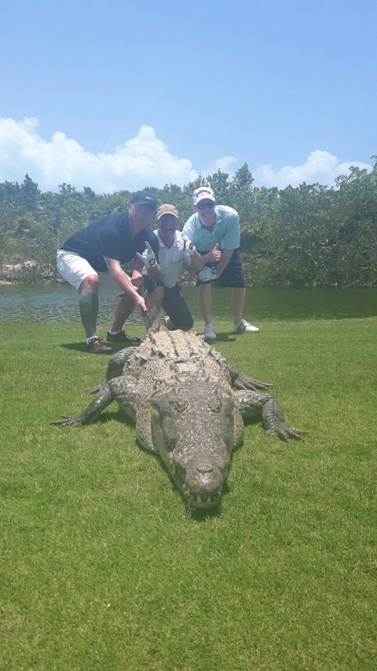 Alligator Golf Course Mexico