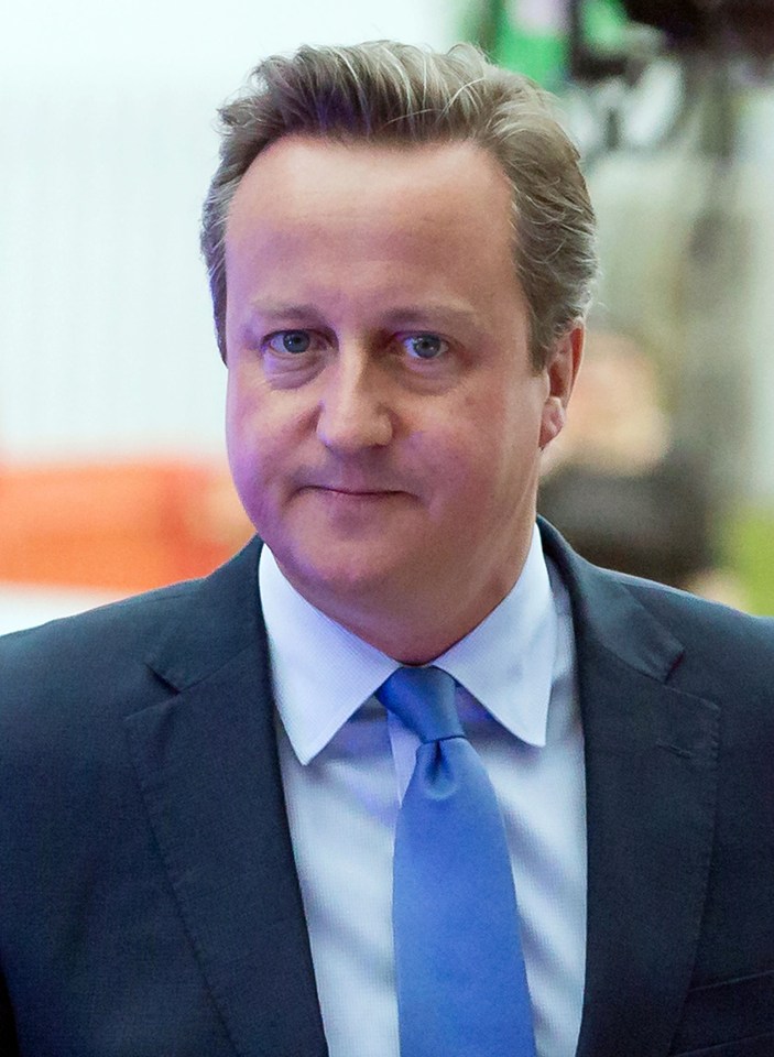 EU referendum David Cameron
