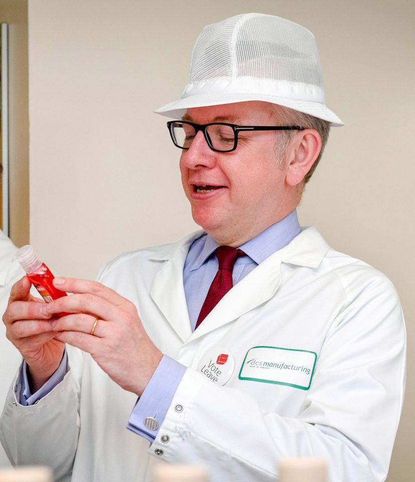 Michael Gove joined Boris Johnson at a soap and handwash company during the Vote Leave campaign