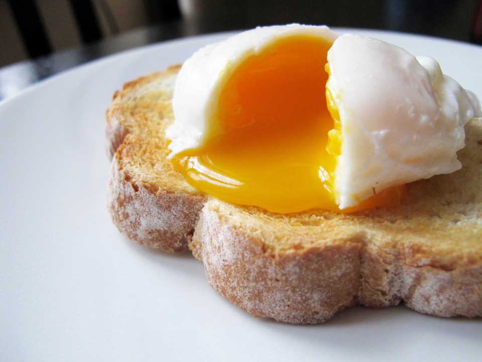 Model, Lily Cole, admits she can't poach an egg