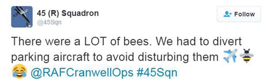 The scale of the bees was so huge a plane was diverted when trying to park - the squadron, which trains pilots, took to twitter to share what had happened