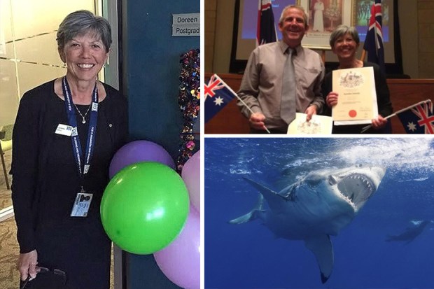 Shark attack Doreen David Collyer
