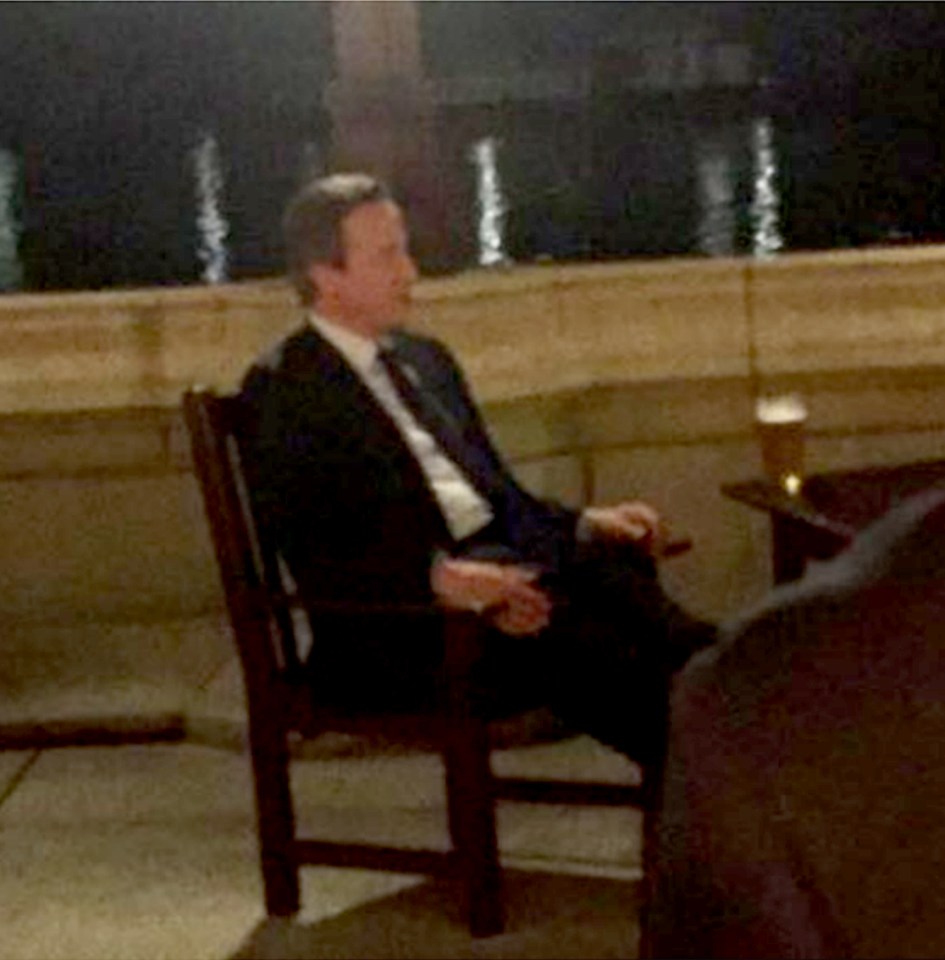David Cameron pint
