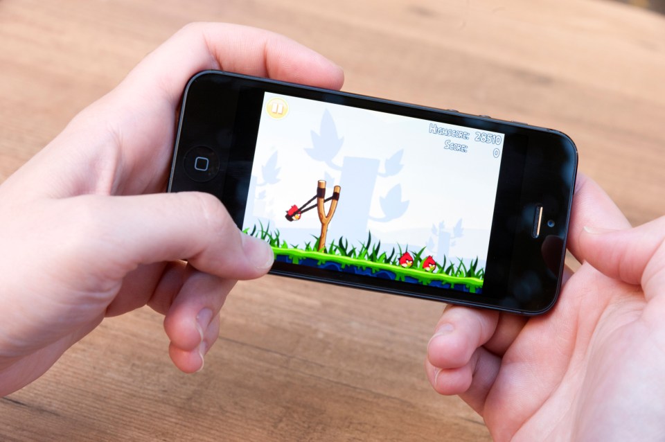 The popular game proved a hit worldwide, being sold 12million times on mobile app stores