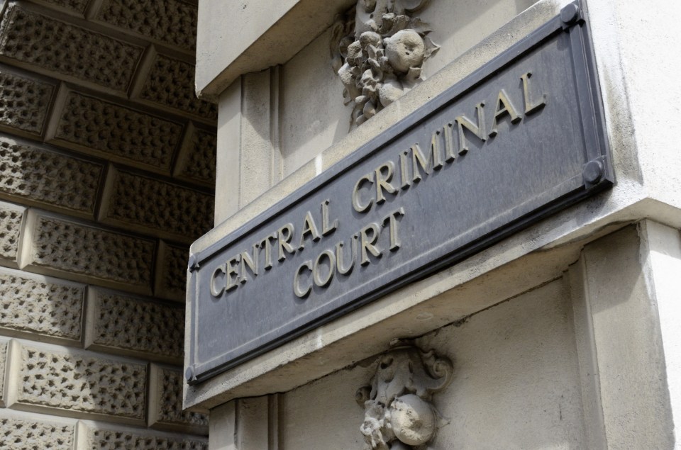 The Old Bailey heard Lewin was looking for thousands of pounds worth of skunk he had grown in Sutton, which was later stolen by three unknown men