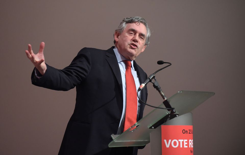 Gordon Brown EU referendum