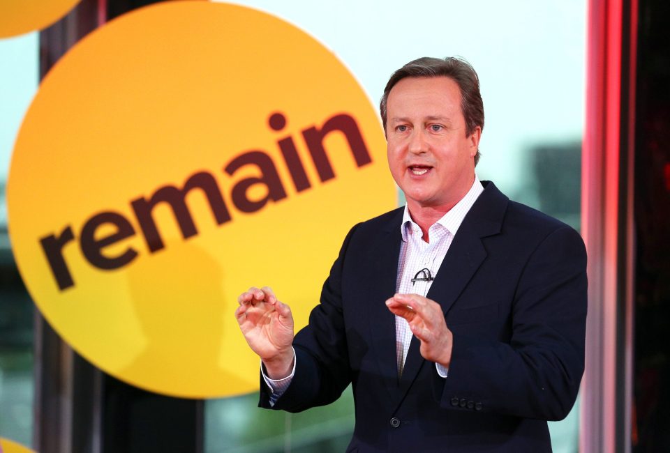 Priti Patel David Cameron