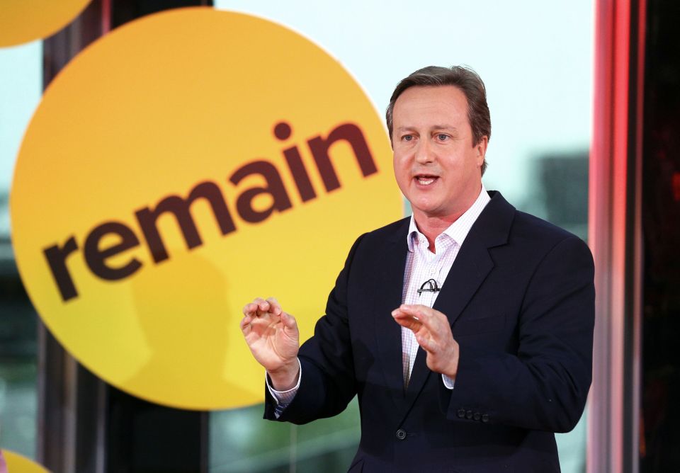 David Cameron and George Osborne claim every world expert supports Remain but business men like James Dyson and Lord Hamford shine a light on the truth