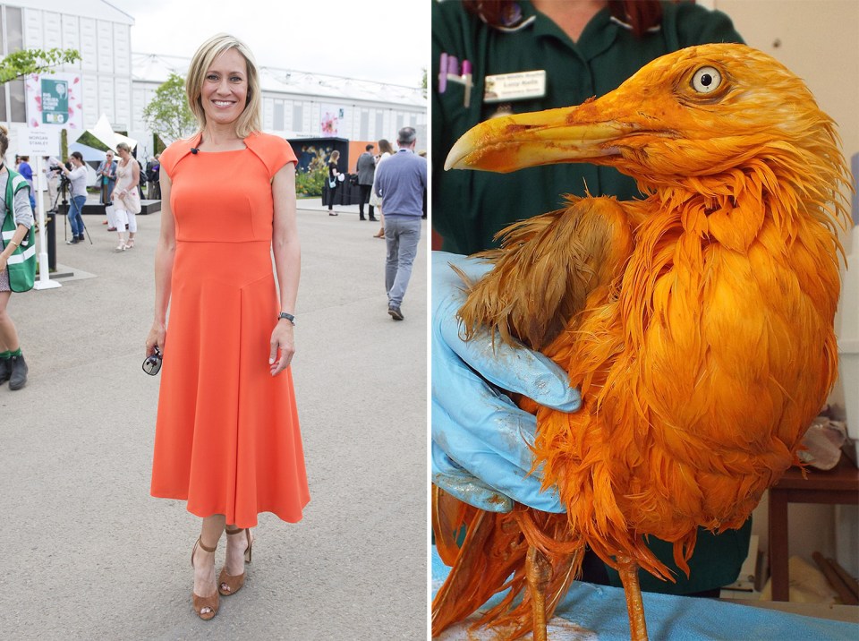 Sophie Raworth and bird