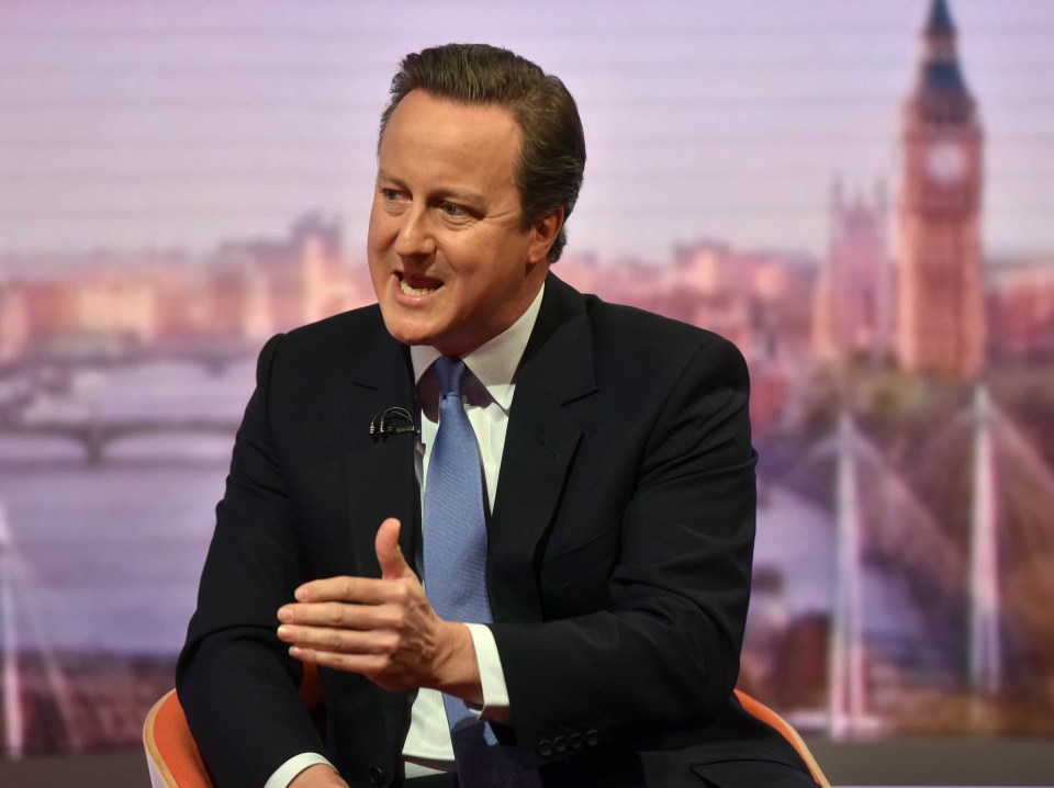 David Cameron EU referendum