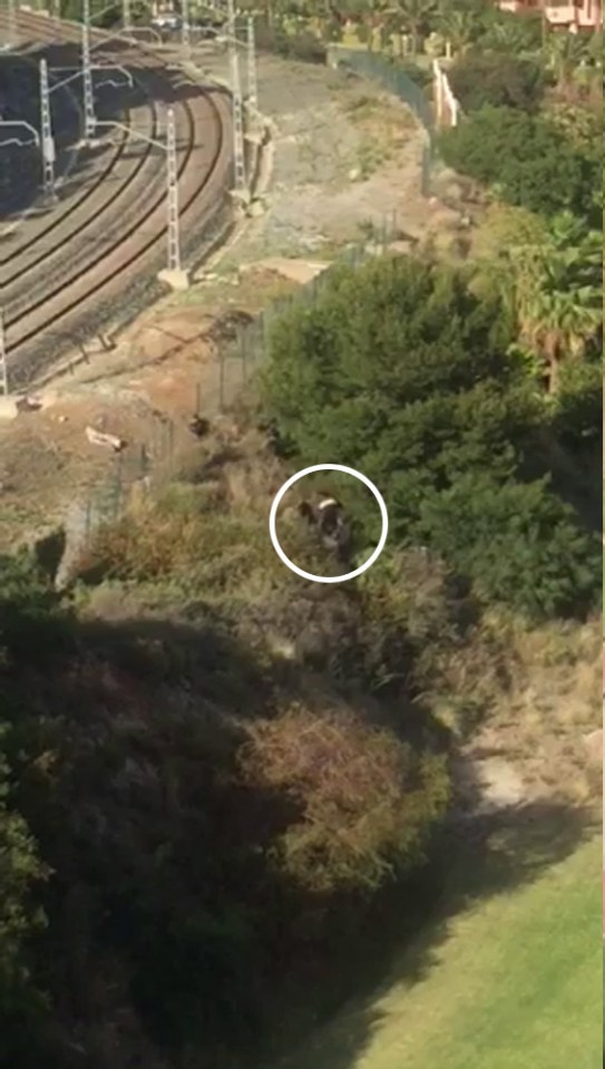 One of the immigrants scrambles up a hill towards the train tracks