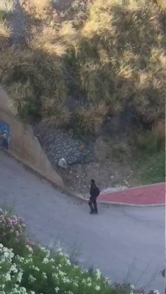 The landing happened on June 7, on the coast between Benalmádena and Fuengirola